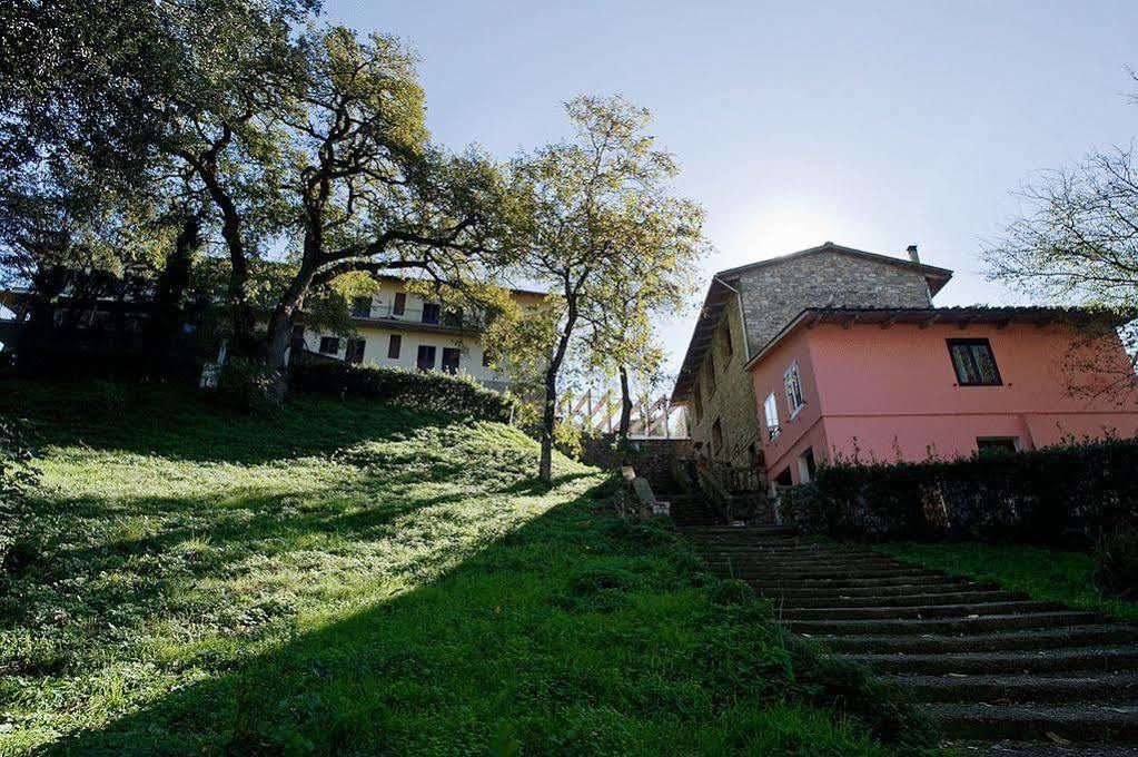 Hotel La Selva 卡莱扎诺 外观 照片